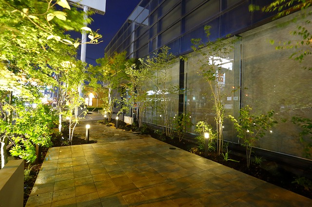 光と影のコントラスト　granks　熊本県 (株)Y社 Spectacular garden lighting by lighting professionals. Enjoy a dramatic, romantic, even mysterious scene comparing to a day time.