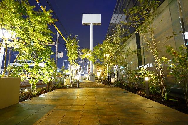 光と影のコントラスト　granks　熊本県 (株)Y社 Spectacular garden lighting by lighting professionals. Enjoy a dramatic, romantic, even mysterious scene comparing to a day time.