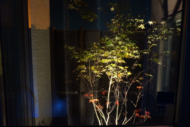 坪庭　株式会社フジガーデン　千葉県Ｎ様邸 Spectacular garden lighting by lighting professionals. Enjoy a dramatic, romantic, even mysterious scene comparing to a day time.