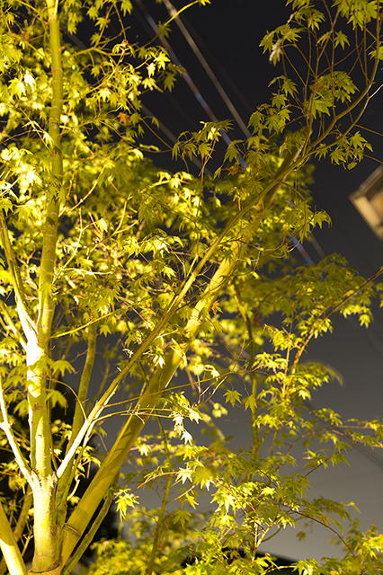 然　株式会社little bear garden　福島県Ｓ様邸 Spectacular garden lighting by lighting professionals. Enjoy a dramatic, romantic, even mysterious scene comparing to a day time.