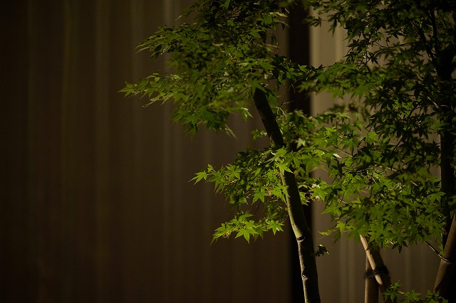 メンテナンスフリーのクローズ外構　有限会社創園社　群馬県O様邸 Spectacular garden lighting by lighting professionals. Enjoy a dramatic, romantic, even mysterious scene comparing to a day time.