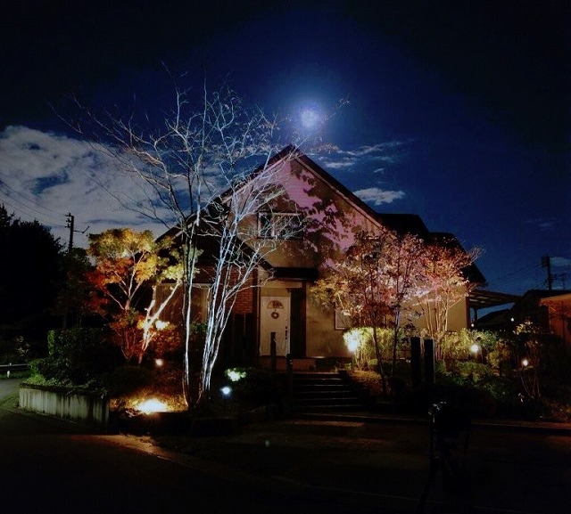 ハロウィンの夜　株式会社ジーランド　宮城県S様邸 Spectacular garden lighting by lighting professionals. Enjoy a dramatic, romantic, even mysterious scene comparing to a day time.