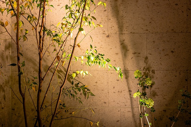 ハイグレードなバスコート　外部空間デザイン・グラン株式会社　大阪府A様邸 Spectacular garden lighting by lighting professionals. Enjoy a dramatic, romantic, even mysterious scene comparing to a day time.