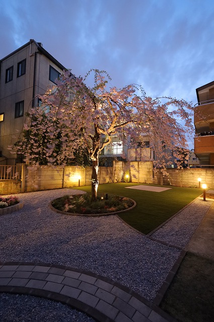 夜桜がひきたつお庭のライトアップ　株式会社グリーンケア 川崎多摩店　神奈川県S様邸 Spectacular garden lighting by lighting professionals. Enjoy a dramatic, romantic, even mysterious scene comparing to a day time.