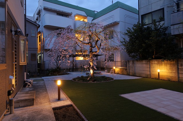 夜桜がひきたつお庭のライトアップ　株式会社グリーンケア 川崎多摩店　神奈川県S様邸 Spectacular garden lighting by lighting professionals. Enjoy a dramatic, romantic, even mysterious scene comparing to a day time.